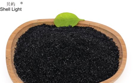 Organic Fertilizer: The Green Foundation for Restoring Soil Health