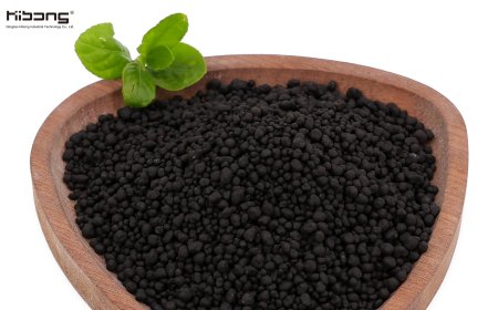 Complete Guide to Applying Organic Granular Fertilizer: Efficient Usage for Different Scenarios